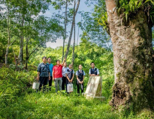 橡胶种植者，橡胶价格